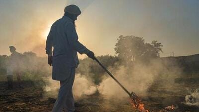 The PPCB, which monitored stubble burning incidents from September 15 to November 30, had recorded 10,909 incidents last year. The PPCB, which monitored stubble burning incidents from September 15 to November 30, had recorded 10,909 incidents last year.
