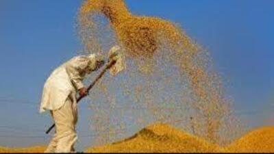 The spokesperson said that the procurement of paddy is going on smoothly in all grain markets of the state.