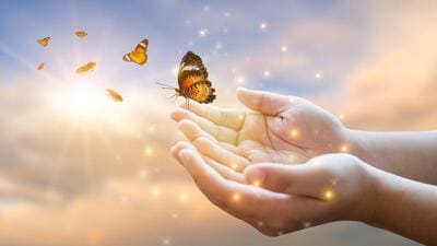 This change in my character and in the way of life obviously can be attributed to getting older but I hope wisdom and a new awareness will be accepted to be playing a part and get its due, too. (Shutterstock)