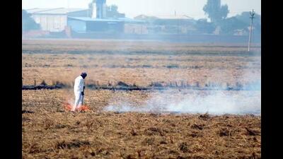 Under pressure from the Supreme Court and the Centre to check stubble burning incidents, the Punjab Police on Thursday said it has deployed around 1,700 personnel, part of the newly formed ‘Parali Protection Force’, across 353 hotspot villages in the state. (HT File) Under pressure from the Supreme Court and the Centre to check stubble burning incidents, the Punjab Police on Thursday said it has deployed around 1,700 personnel, part of the newly formed ‘Parali Protection Force’, across 353 hotspot villages in the state. (HT File)