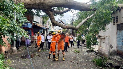 తుపాను తర్వాత తీసుకోవాల్సిన జాగ్రత్తలు తుపాను తర్వాత తీసుకోవాల్సిన జాగ్రత్తలు