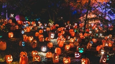 Halloween is celebrated on October 31 every year, on All Hallows’ Eve. (Unsplash) Halloween is celebrated on October 31 every year, on All Hallows’ Eve. (Unsplash)