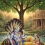 দেবোত্থানী একাদশীর ধ্রুব যোগে লাকি কারা?