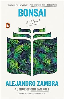 A slim novella about two Chilean literature students A slim novella about two Chilean literature students