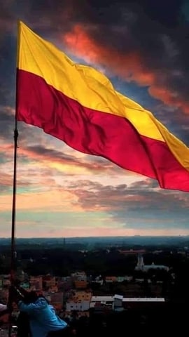 Karnataka Rajyotsava is celebrated on November 1 every year to mark the formation day of the state. (Pinterest) Karnataka Rajyotsava is celebrated on November 1 every year to mark the formation day of the state. (Pinterest)