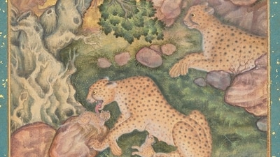 A Mughal era painting fetched a record price at Christie's auction. (PhotoL Christie's London) A Mughal era painting fetched a record price at Christie's auction. (PhotoL Christie's London)