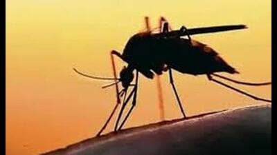 Experts warn that the situation might worsen unless prompt preventive measures are taken. (For representation) Experts warn that the situation might worsen unless prompt preventive measures are taken. (For representation)