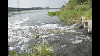 The UP Pollution Control Board has declared the river unfit for drinking, bathing, or aquatic life (HT Archive)