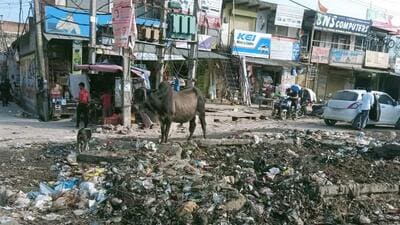 When asked about the garbage accumulated in vacant plots across Manesar, Chaudhary said that the sites would be cleaned promptly. (Hindustan Times) When asked about the garbage accumulated in vacant plots across Manesar, Chaudhary said that the sites would be cleaned promptly. (Hindustan Times)