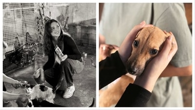 Aneet Padda played with and fed dogs and cats at a shelter. Aneet Padda played with and fed dogs and cats at a shelter.