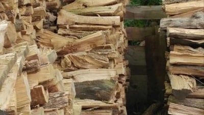 Only a handful of people have been able to spot the cat in this viral optical illusion challenge on Reddit. (Reddit)