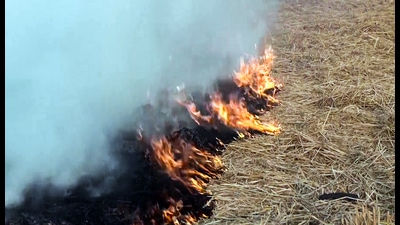 ccording to the data compiled by the Punjab Remote Sensing Centre, Sangrur district once again emerged as a major contributor, reporting 64 farm-fire incidents in a single day. (ANI Video Grab) ccording to the data compiled by the Punjab Remote Sensing Centre, Sangrur district once again emerged as a major contributor, reporting 64 farm-fire incidents in a single day. (ANI Video Grab)