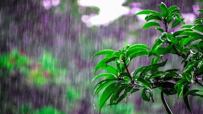 <p>ఎగువ కురుస్తున్న భారీ వర్షాలకు కృష్ణానది వరద ప్రవాహం కొన్ని రోజులు హెచ్చతగ్గులుగా ఉండే అవకాశం ఉంది. శుక్రవారం సాయంత్రం 5 గంటల నాటికి ప్రకాశం బ్యారేజి వద్ద ఇన్ ఫ్లో, ఔట్ ఫ్లో 4,56,400 క్యూసెక్కులు ఉంది.  మొదటి ప్రమాద హెచ్చరిక కొనసాగుతుంది. క్రమంగా ప్రవాహం తగ్గే అవకాశం ఉంది. </p> 