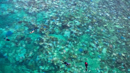 Lizard Island on the Great Barrier Reef, located 270 kilometres (167 miles) north of the city of Cairns. (AFP)
