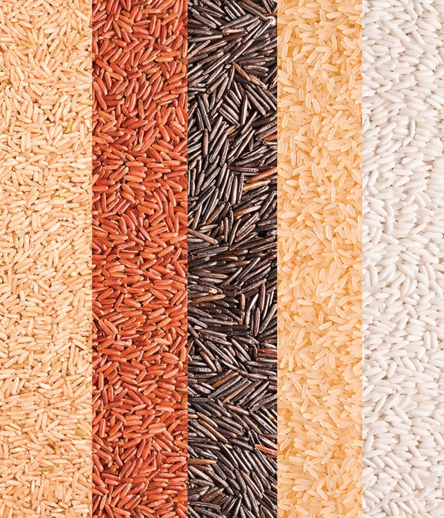 We once grew thousands of varieties of rice, each finely tuned to its region’s climate. (Shutterstock) We once grew thousands of varieties of rice, each finely tuned to its region’s climate. (Shutterstock)