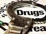The operation followed a tip-off about illegal activities to the Bengaluru police, with most participants at the rave party believed to be young adults. (HT File)