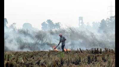 A man seen burning paddy stubble at a village at Rajpura Road in Patiala on Saturday. (ANI) A man seen burning paddy stubble at a village at Rajpura Road in Patiala on Saturday. (ANI)