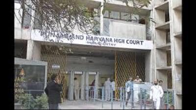 Secretary of the Punjab and Haryana High Court Bar Association, Gagandeep Jammu, in his letter said that process of designation was pending for years and he wrote the letter to chief justice after due deliberation among the executive members. (HT File Photo for representation)