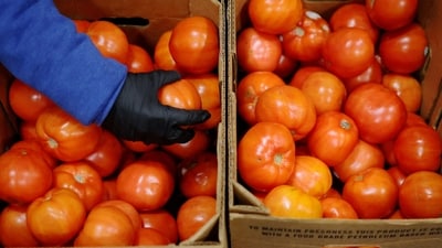 Millions of Americans still waiting for SNAP benefits as legal disputes and shutdown stall payments (REUTERS)