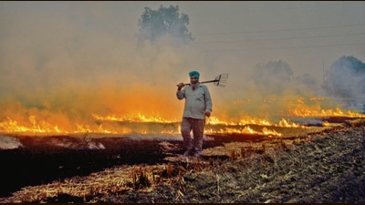 A farmer burns paddy stubble in a field at a village in Patiala. Punjab recorded 178 fresh stubble burning incidents on Sunday, taking the total count to 2,262 so far this season. (PTI) A farmer burns paddy stubble in a field at a village in Patiala. Punjab recorded 178 fresh stubble burning incidents on Sunday, taking the total count to 2,262 so far this season. (PTI)