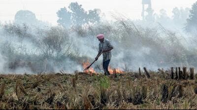Farmers said even if they don’t burn stubble, the government won’t bother to ensure timely purchase of the bales. (Representative image from files) Farmers said even if they don’t burn stubble, the government won’t bother to ensure timely purchase of the bales. (Representative image from files)