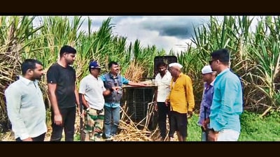 The team from Pune-based Rana’s Rifle Club, which works in coordination with the forest department, reached Pimparkhed village at around 11 am on Monday and inspected the attack site and surrounding area. (HT PHOTO) The team from Pune-based Rana’s Rifle Club, which works in coordination with the forest department, reached Pimparkhed village at around 11 am on Monday and inspected the attack site and surrounding area. (HT PHOTO)