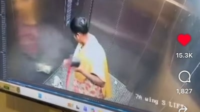 The pet owner, Rashi Poojary, is pursuing legal action while the accused remains at large. (Instagram) The pet owner, Rashi Poojary, is pursuing legal action while the accused remains at large. (Instagram)