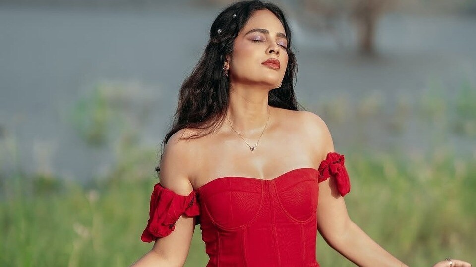 <p>నొప్పిని దుస్తులుగా ధరించి ప్రపంచానికి బలంగా ఉన్నట్లు ఆమె నిలబడుతోంది, కానీ కానీ లోపల ఆమె క్యాండీ కంటే చాలా సున్నితం.. అనే క్యాప్షన్ తో ఈ ఫొటోలు పోస్టు చేసింది నందిత.</p>(instagram-Nandita Swetha)