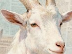 Capricorn Horoscope Today: Read our expert astrological predictions to find out what the stars have in store for you.
