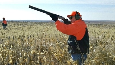 FILE PHOTO: U.S. Vice President Dick Cheney hunts pheasant in South Dakota in this November 5, 2002 file photo. (Via REUTERS)