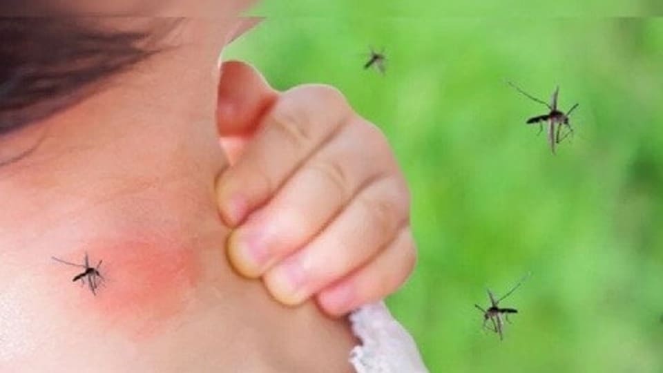 শিশুদের মশার কামড় থেকে বাঁচাতে কী করবেন