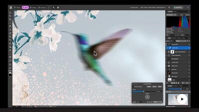 Affinity’s new free app consolidates Vector, Pixel, Layout design tools as well as advanced non-destructive image editing. (Official image) Affinity’s new free app consolidates Vector, Pixel, Layout design tools as well as advanced non-destructive image editing. (Official image)
