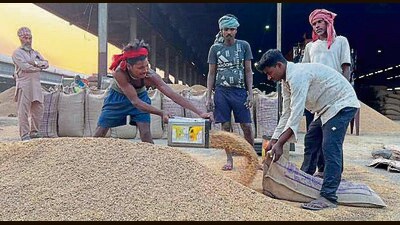 Labourers filling bags with paddy in a grain market in Ludhiana on Wednesday. (Manish/HT)