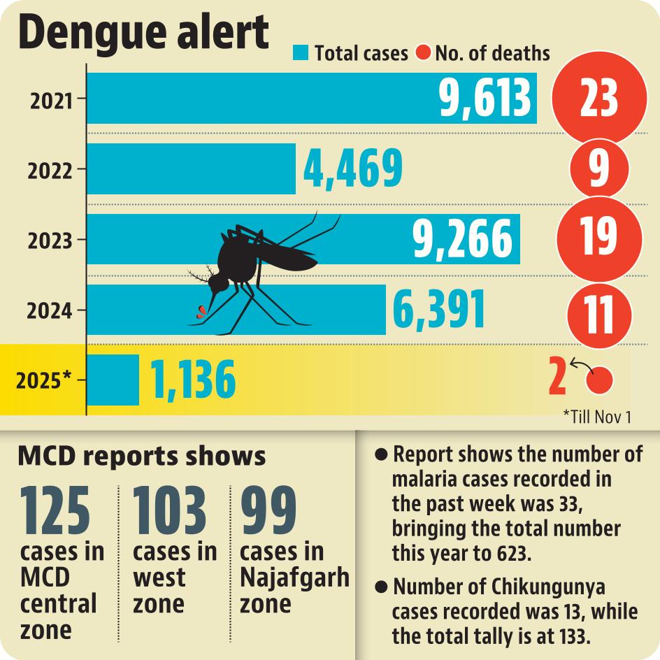 Delhi had recorded a total of 11 dengue deaths in 2024, 19 in 2023, 9 in 2022, and 23 in 2021. Delhi had recorded a total of 11 dengue deaths in 2024, 19 in 2023, 9 in 2022, and 23 in 2021.