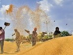 On Thursday, the total arrivals in mandis touched 140 lakh tonnes, which is almost 90% of the estimated inflow that the state government is expecting. (File) On Thursday, the total arrivals in mandis touched 140 lakh tonnes, which is almost 90% of the estimated inflow that the state government is expecting. (File)