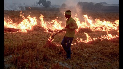 On Thursday, 120 new FIRs were registered by the Punjab Police. In total, the cops have lodged 1,092 FIRs against farmers for violating stubble-burning norms (ANI) On Thursday, 120 new FIRs were registered by the Punjab Police. In total, the cops have lodged 1,092 FIRs against farmers for violating stubble-burning norms (ANI)