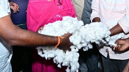 పత్తి రైతుల ఇబ్బందులు - కేంద్రానికి మంత్రి అచ్చెన్నాయుడు లేఖ