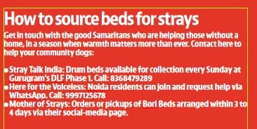 Those looking to help stray animals can reach out to the following groups. Those looking to help stray animals can reach out to the following groups.