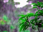 తెలంగాణ, ఏపీ వెదర్ రిపోర్ట్