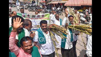 Farmers participate in a protest march demanding a fair price of ₹3,500 per tonne for sugarcane, in Chikkamagaluru, Karnataka on Friday. (PTI) Farmers participate in a protest march demanding a fair price of ₹3,500 per tonne for sugarcane, in Chikkamagaluru, Karnataka on Friday. (PTI)