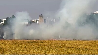 Smoke billows out due to stubble burning in a field, in Bathinda on Friday. (ANI) Smoke billows out due to stubble burning in a field, in Bathinda on Friday. (ANI)