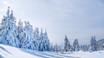 Christmas 2025: As per The Old Farmer's Almanac, the northeastern region of the US will have a snowy Christmas. (Representative image/Unsplash) Christmas 2025: As per The Old Farmer's Almanac, the northeastern region of the US will have a snowy Christmas. (Representative image/Unsplash)