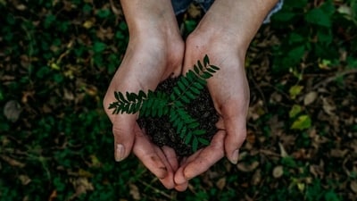 The Farmers’ Almanac was first published in 1818. (Representative image/Unsplash) The Farmers’ Almanac was first published in 1818. (Representative image/Unsplash)