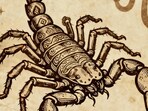 Scorpio Horoscope Today: Read our expert astrological predictions to find out what the stars have in store for you.
Scorpio Horoscope Today: Read our expert astrological predictions to find out what the stars have in store for you.