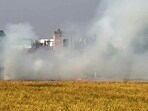 Smoke billows out due to stubble burning in a field, in Bathinda on Friday. (ANI)