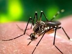 The health department has identified 29 hotspots across the district. (HT Photo) The health department has identified 29 hotspots across the district. (HT Photo)