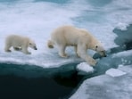 Latest monthly data for the planet’s October temperatures is yet another proof that the 1.5°C could be breached sooner rather than later. 