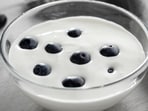Greek yoghurt is one of the supposedly high-protein foods with a catch. Greek yoghurt is one of the supposedly high-protein foods with a catch.