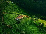 ఊటీ(Image source Unsplash)