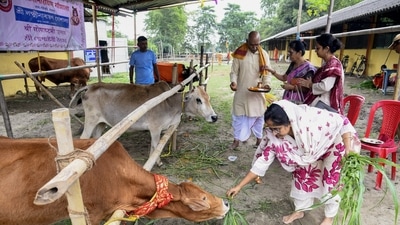 Police had received information was given that a cow smuggler was roaming around (ANI/File) Police had received information was given that a cow smuggler was roaming around (ANI/File)
